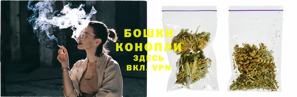 бошки Алексин