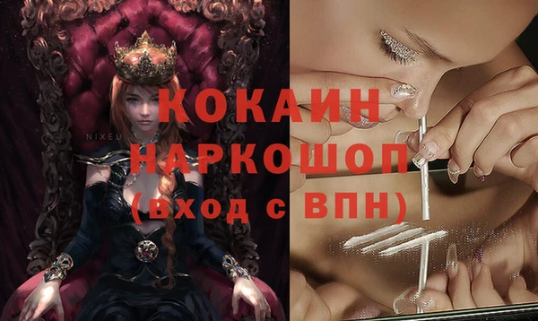 бошки Алексин