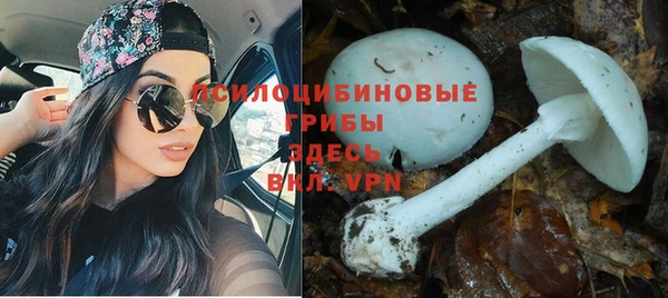мескалин Алексеевка