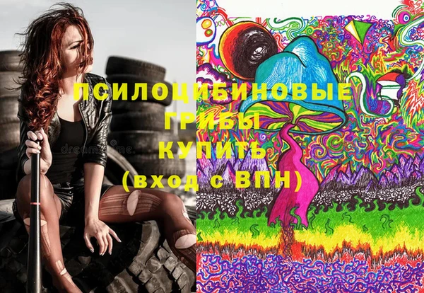 бошки Алексин