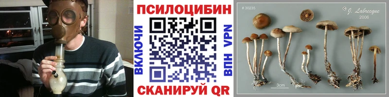 Псилоцибиновые грибы Psilocybe  Десногорск 
