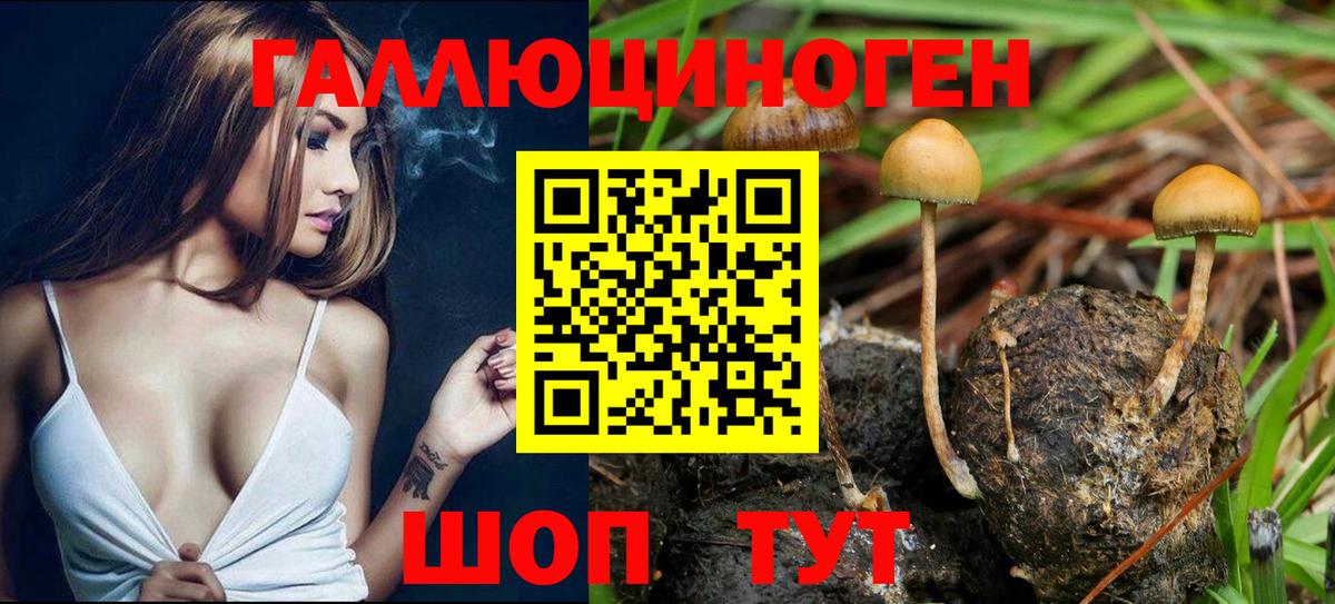 Псилоцибиновые грибы мухоморы Десногорск