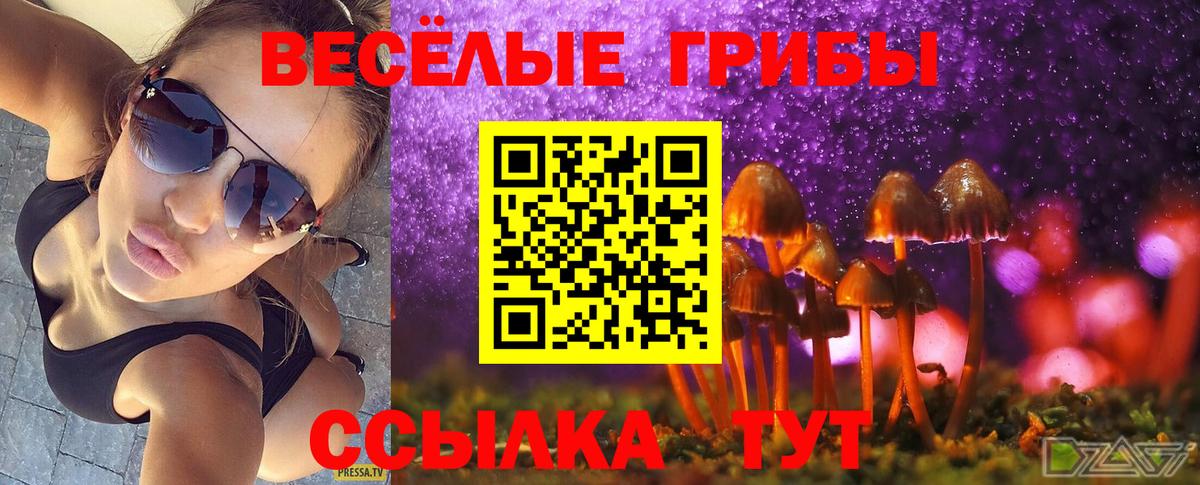А ПВП Десногорск